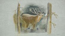 unbekannt: Der r�hrende Hirsch (ca. 2005)